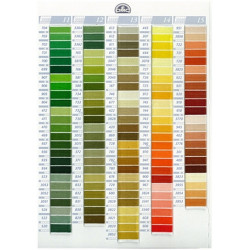 MOULINE' DMC disponibile in tutti i colori